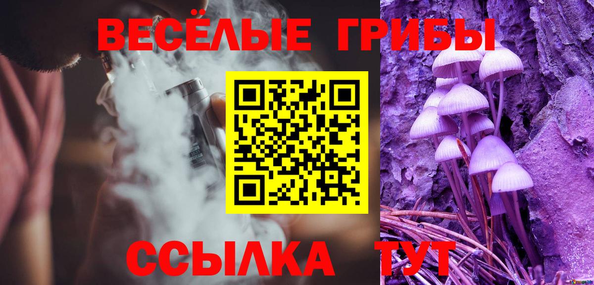 Псилоцибиновые грибы GOLDEN TEACHER Петровск