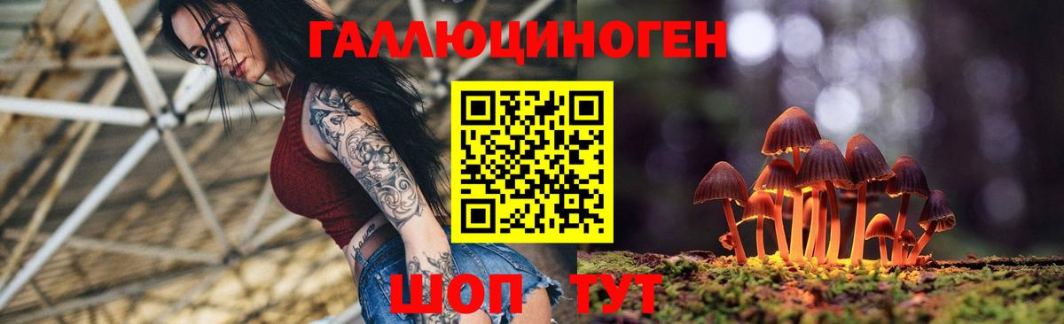 Петровск  Галлюциногенные грибы мицелий  Вход с VPN 